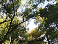 -西园戒幢律寺