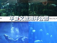 -华夏文旅西安度假区