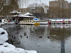 -团结湖公园