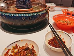 -董记老清泉·鲜切涮羊肉(窑岭店)