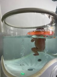 -弗蕾亚·和月月子调理院(东湖店)