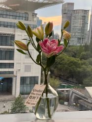 -+奈造型设计