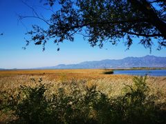 -野鸭湖国家湿地公园