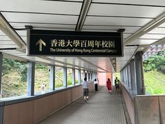 -香港大学