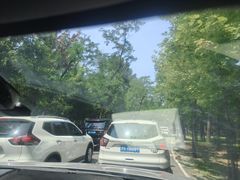 -秦皇岛野生动物园