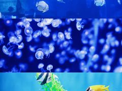 -石林冰雪海洋世界