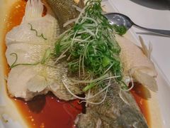 -至潮餐厅精致粤菜·活鲈鱼·走地鸡(珠江新城店)