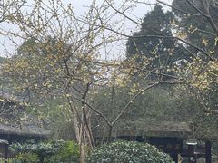-峨眉山报国寺