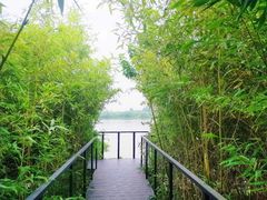 -灞河西岸滨河公园
