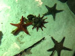 -福州罗源湾海洋世界旅游区