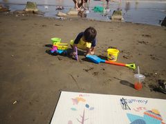 -南汇嘴观海公园