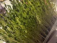 -番食园鲜食火锅(高新店)