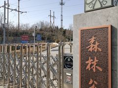 -云岗森林公园