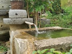 -靖西鹅泉风景区