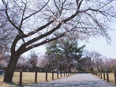 -水前寺成趣园
