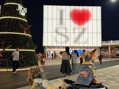 -深圳湾万象城(南山店)