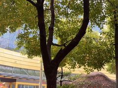 -中国杭州低碳科技馆