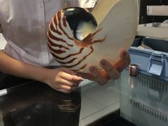 -青岛贝壳博物馆