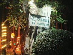 -三亚亚龙湾红树林度假酒店