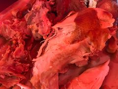 -景祥园火锅城(万全店)