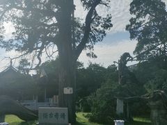 -司徒庙