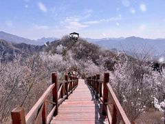 -白水寺森林公园
