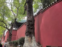 -白帝城·瞿塘峡景区