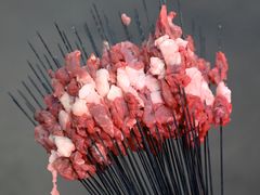 -老白家怡贵园烤肉