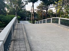-团结湖公园