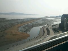 -琴岛之星摩天轮