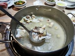 -探窝·竹笙椰子鸡(杨箕店)