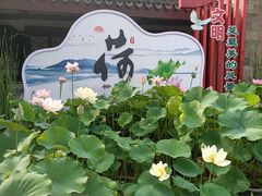 -无锡蠡湖国家湿地公园-蠡园