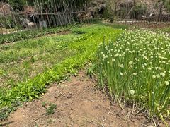 -姥家大锅台水库渔家