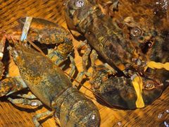 -拉完海鲜大排档(温岭店)