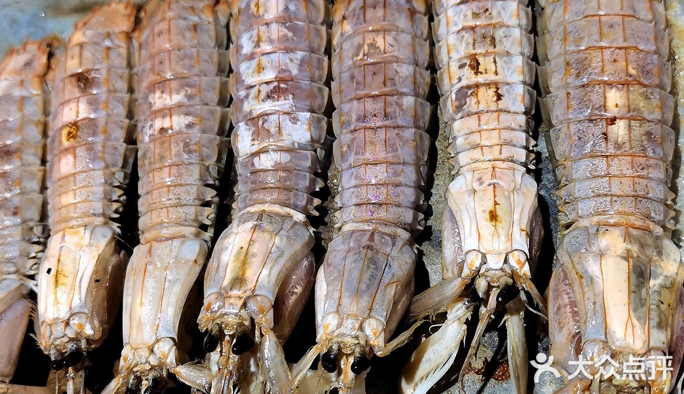 美食自助你吃得回本吗😍