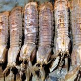 美食自助你吃得回本吗😍