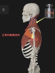 点击看大图 -U+YOGA优伽瑜伽·普拉提