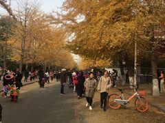 -辽宁大学(崇山校区)