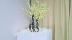 -纤姿俪纳产后恢复连锁机构(世纪东方广场店)