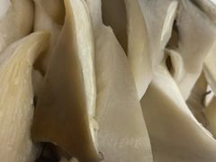 -新乡杨记红焖羊肉火锅(天坛南门店)