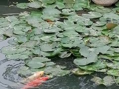 -张家港凤凰山景区恬庄古街