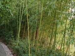 -苏州太湖国家湿地公园