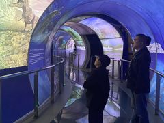 -房山世界地质公园博物馆