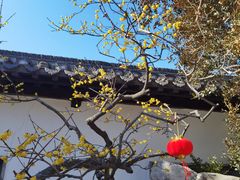 -清晏园
