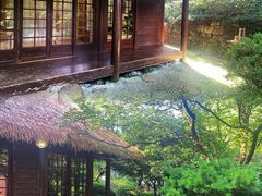 -中国茶叶博物馆(双峰馆区)