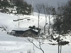 -武陵山森林公园