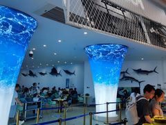 -深海中餐厅(国家海洋博物馆店)