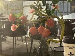 -故里和山·成都火锅(欢乐港湾店)