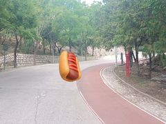 -北京凤凰岭