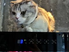 -作咖啡(养育巷店)